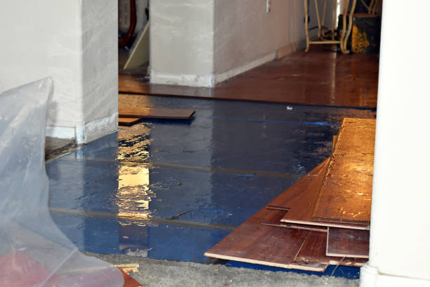 Professional Sewage Cleanup technician working in East Greenwich, RI